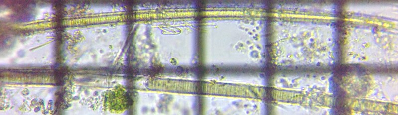 fig.10 �~�h���̈��