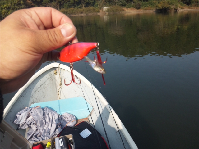 fig.01 ���A�[�̌㕔�t�b�N�Ɏh�������u���[�M���t��