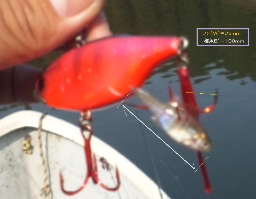 fig.02 �S������p�ʐ^