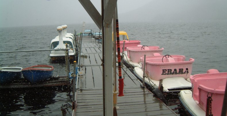 fig.01 ���ᕑ���Y����