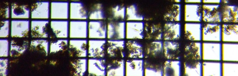 fig.11 �f�g���^�X