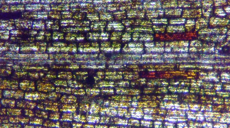 fig.05 �������Ǝ��ӍזE