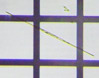 fig.12 �V�l�h�����i�]���j