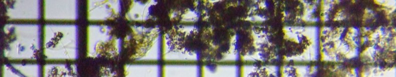 fig.13 �f�g���^�X