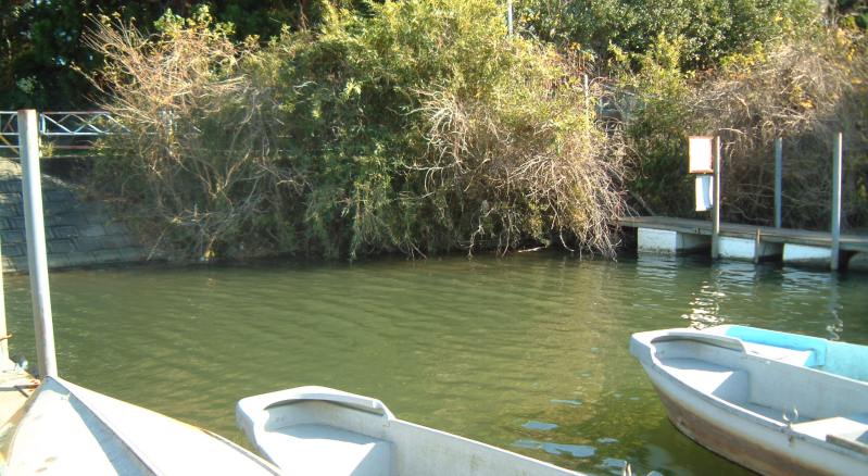 fig.00 �Y�փP�r�i�{�[�g�n�E�X�c�J���g�V���j