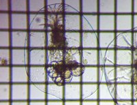 fig.08 �t�N�������V