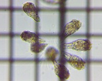 fig.09 �e�}�������V