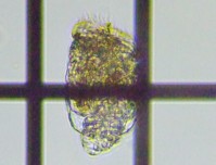 fig.10 �e�}�������V