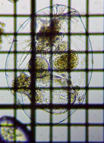 fig.03 �t�N�������V