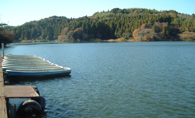 fig.00 �t���̗Y�փP�r