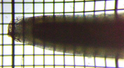 fig.04 ���̑�����