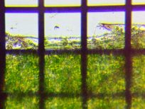 fig.08 �t���̍׋���