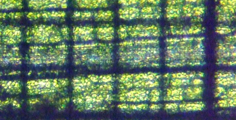 fig.09 �������Ǝ��ӍזE