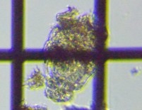 fig.06 �e�}�������V