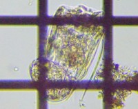 fig.07 �n�l�E�f�����V