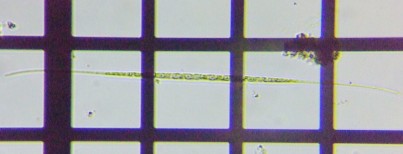 fig.14 �V�l�h�����i�]���j