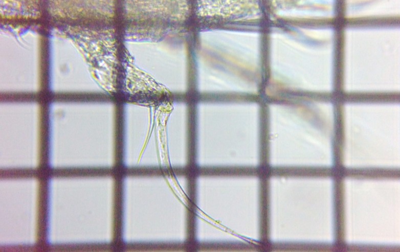 fig.02 ����T���r