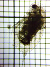 fig.04 �_�t�j�A