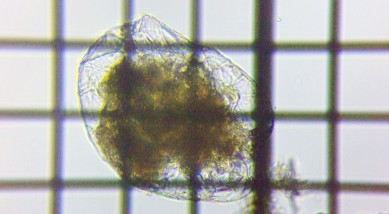 fig.08 �t�N�������V