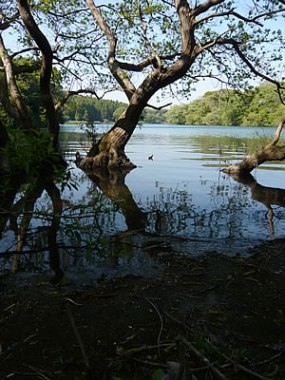 fig.02 ���J�Ẩ�