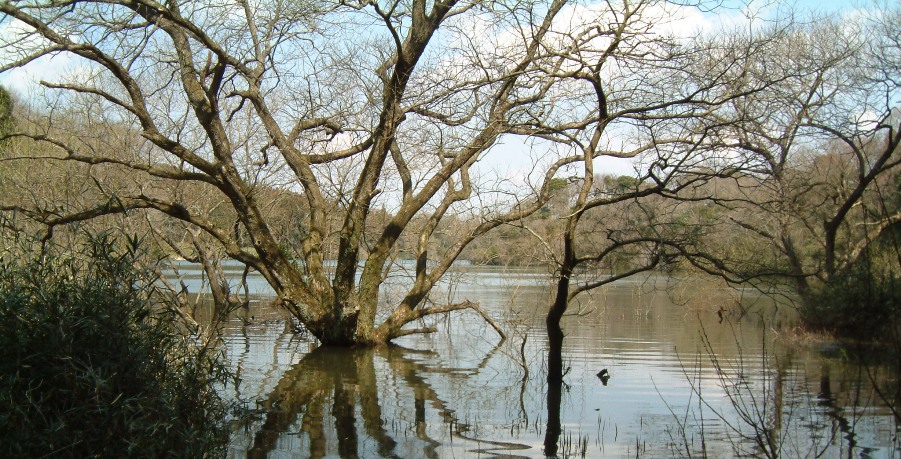 fig.05 ���J�Ẩ��i�Q�O�O�W�N�O�R���Q�U���B�e�j