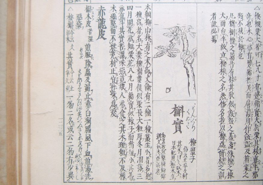 fig.07 �N�k�M�i�w�a���O�ː}��x�j