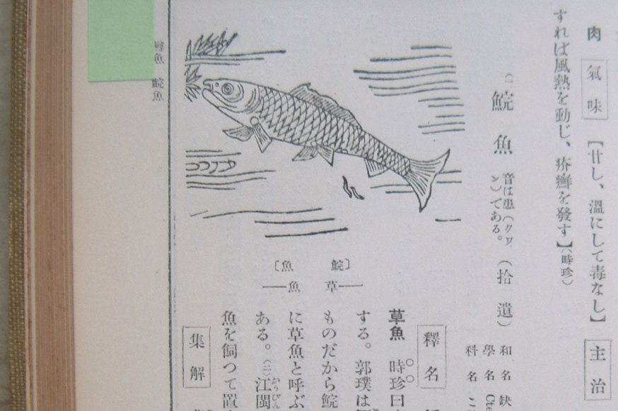 fig.08 �\�E�M���i�w��������{���j�ځx�j