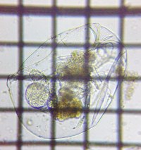 fig.06 �t�N�������V