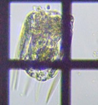 fig.08 �n�l�E�f�����V