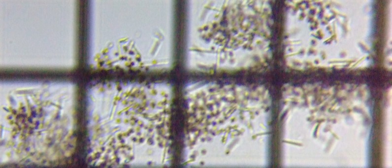 fig.05 �l���W������