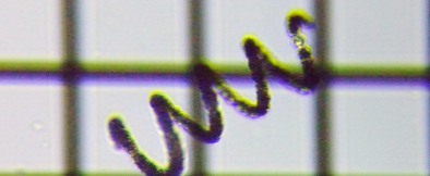 fig.06 �A�i�x�i