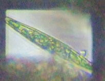 fig.08 ���[�O���i��