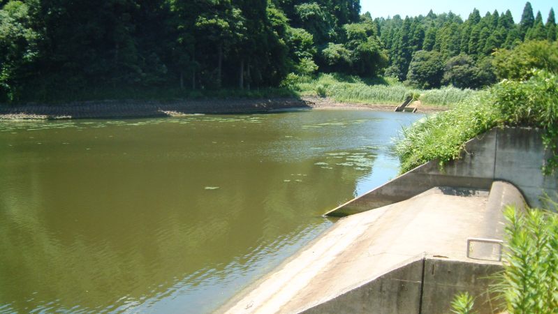 fig.00 ��t���N�P�r
�i�����ڃA�I�R�w�W ���x���Q�j