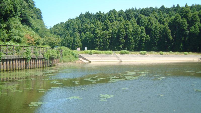 fig.00 �N�P�r�i��r�j