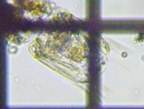 fig.09 �n�l�E�f�����V