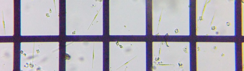 fig.08 �V�l�h����