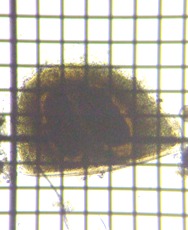 fig.04 ����i�x�����j