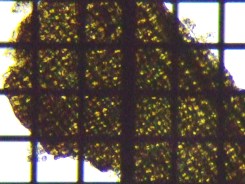 fig.14 �A����