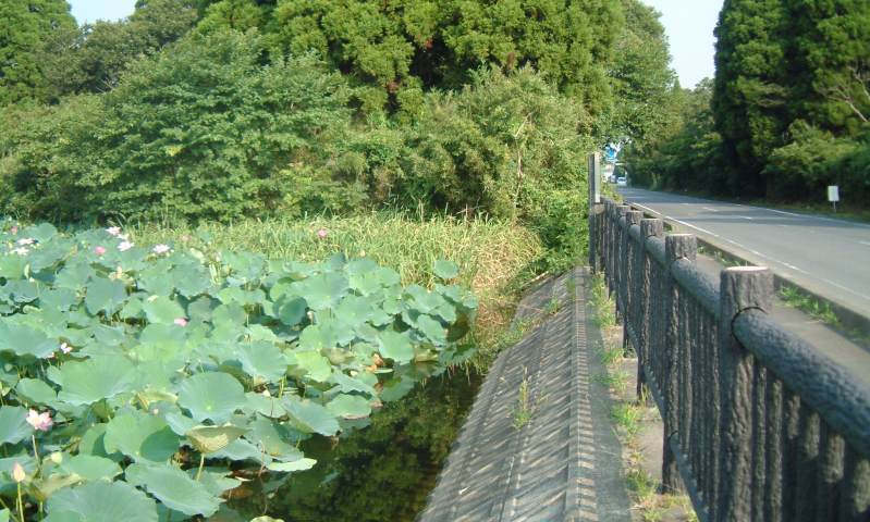 fig.00 ������