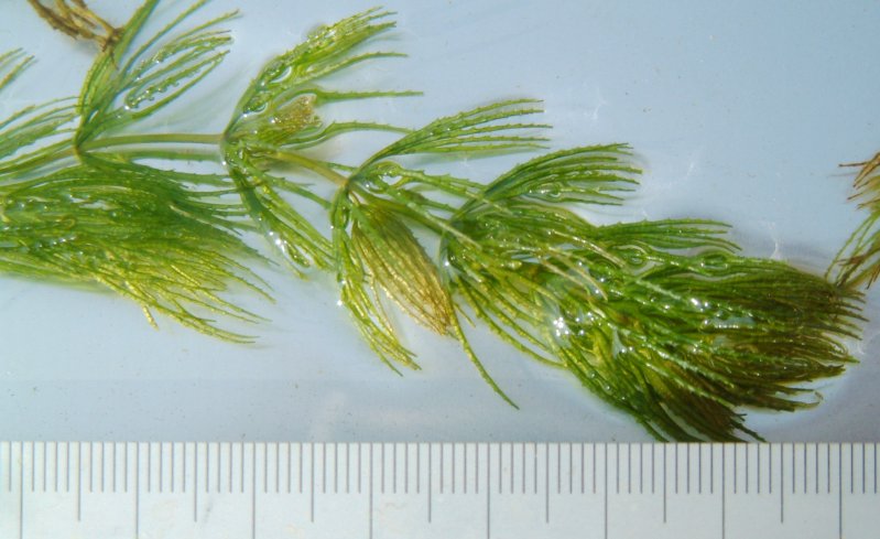 fig.02 �֐��t�̏��