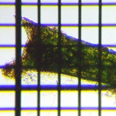 fig.03 ���Ђ̐�[��