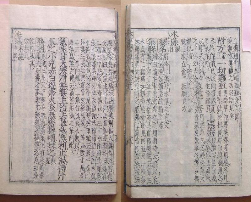 fig.07 �悵����ˑ��w�{���j�ځx