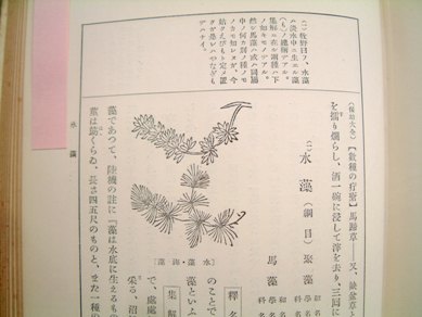 fig.10 �����̐}�w��������{���j�ځx