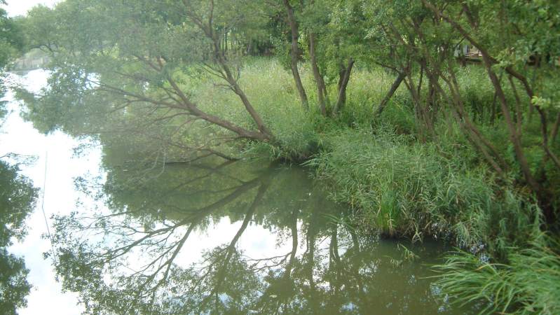 fig.00 �����A�����L�x�ȓ���c