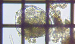 fig.05 �����V