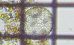 fig.07 �{���{�b�N�X��