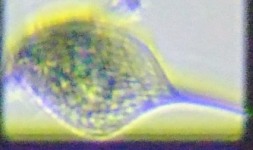 fig.08 �t�@�[�N�X��