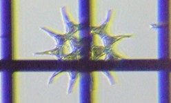 fig.15 �N���V���E���i�Α��j