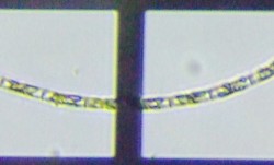 fig.19 �Α��̈��