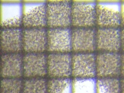 fig.01 �~�N���L�X�e�B�X